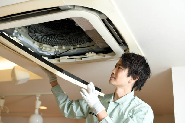Best HVAC System Cleaning  in Alburtis, PA