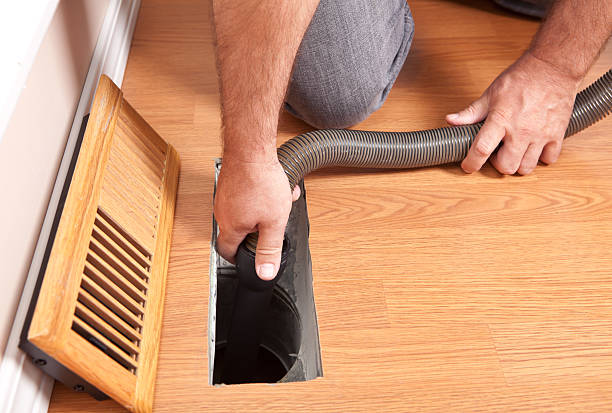 Air Duct Mold Removal in Alburtis, PA