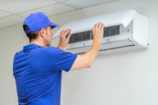 Best Air Duct Mold Removal  in Alburtis, PA